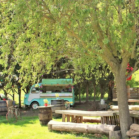 Ariegeois * Saint-Ybars