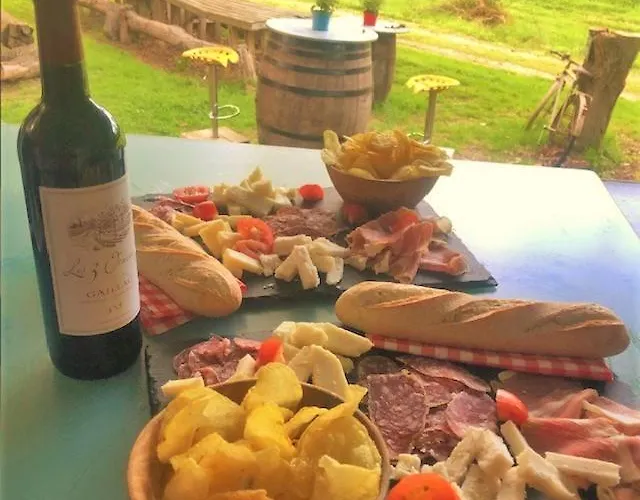 Ariegeois Feriegård Saint-Ybars